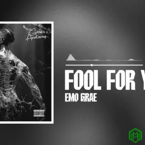 Fool For You audio by EMO Grae