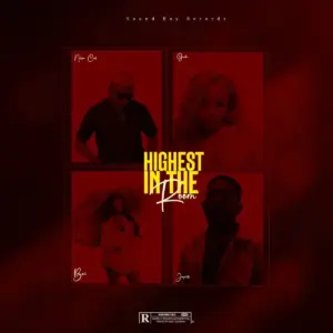 Highest in the room audio by Nelson Cool